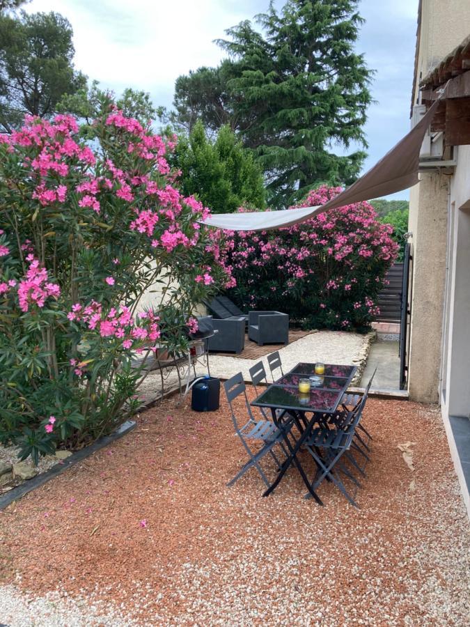 Au Coeur De La Pinede De 1 A 4 Personnes Villa Langlade Exteriör bild